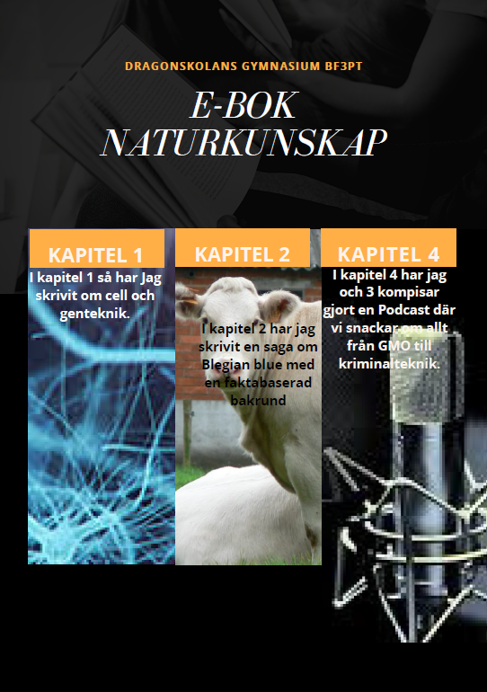 Naturkunskap